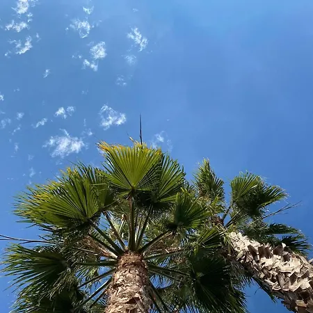 Villa Paula Mar Y Montana